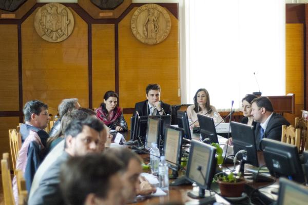 Holding flower, by Anthony Tran