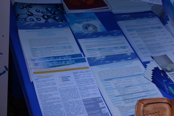 Holding flower, by Anthony Tran